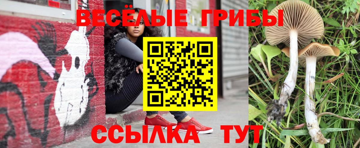 Псилоцибиновые грибы Psilocybine cubensis  Вход с VPN  Галлюциногенные грибы Psilocybine cubensis  Кострома 