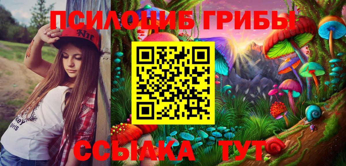 Псилоцибиновые грибы ЛСД Кострома