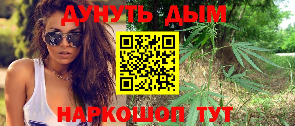 Конопля план  Вход с VPN  МАРИХУАНА OG Kush  Кострома  Каннабис White Widow  МАРИХУАНА SATIVA & INDICA 